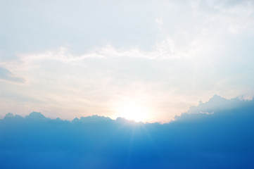 Fototapeta premium Cornfield