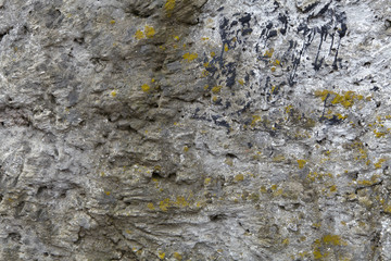 Old vintage wall.