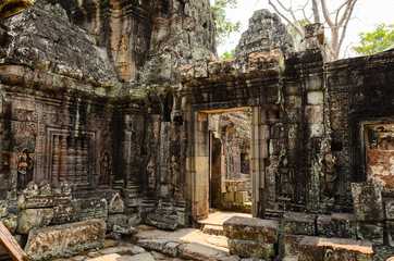 Fototapeta na wymiar Ta Prohm