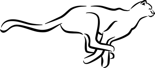 Running leopard hand drawn © Miceking