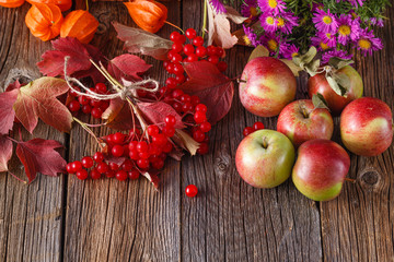 Fall harvesting on rustic wooden background
