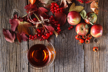 Fall harvesting on rustic wooden background
