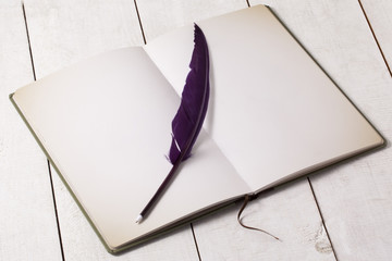 Green vintage book and a purple pen