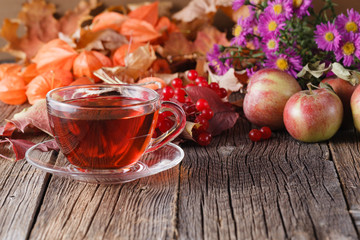 Fall harvesting on rustic wooden background