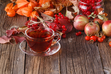 Fall harvesting on rustic wooden background