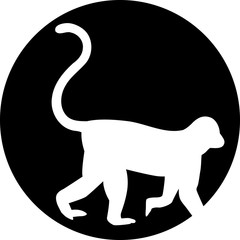 Monkey in front of moon