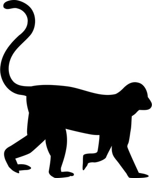 Monkey silhouette walking