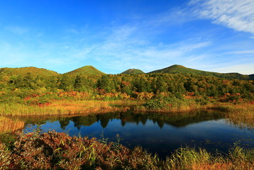 八甲田　紅葉の睡蓮沼