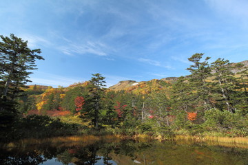 大雪山国立公園