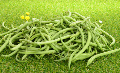 fresh green beans on the grass