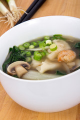 Wonton Soup with shrimp and vegetables