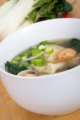 Wonton Soup with shrimp and vegetables