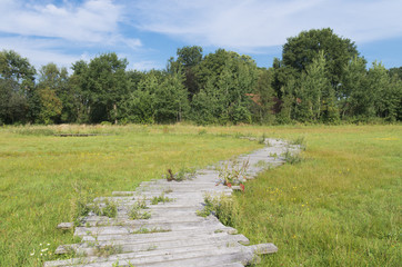Fototapeta premium wooden path in grass field