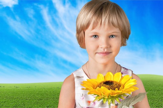 Sunflower.