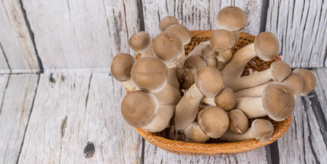 Japanese Shimeji mushrooms over wooden background