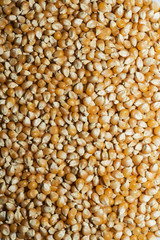 corn