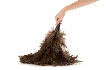 A person holding a feather duster on a white background.