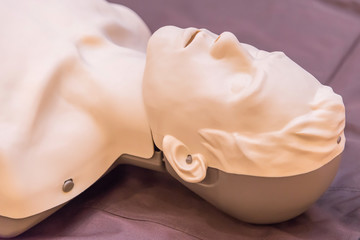 modeling of dummy used in CPR training