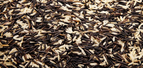 Arroz mixto integral