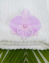Pink orchid on towel and palm leaf