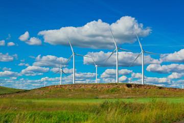 Eco wind power generator on the grassland