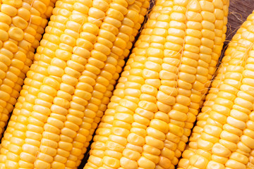 Fresh sweet corn on wooden table