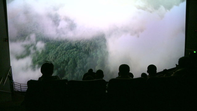 Crowds enjoying a nature documentary