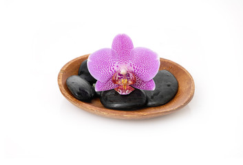 Macro of pink orchid with black stones in wooden bowl