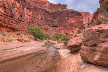 AZ-UT-Paria Canyon-Vermilion Cliffs Wilderness-40 mile Paria River backpack consists of hundreds of stream crossings and spectacular scenery.