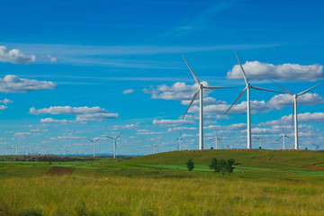 Eco wind power generator on the grassland