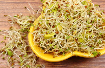 Bowl with alfalfa and radish sprouts on wooden table