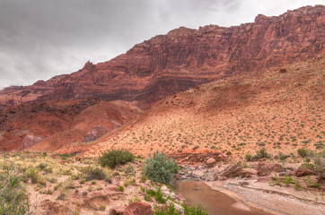 AZ-UT-Paria Canyon-Vermilion Cliffs Wilderness-40 mile Paria River backpack consists of hundreds of stream crossings and spectacular scenery.