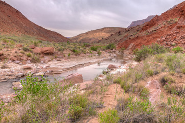 AZ-UT-Paria Canyon-Vermilion Cliffs Wilderness-40 mile Paria River backpack consists of hundreds of stream crossings and spectacular scenery.