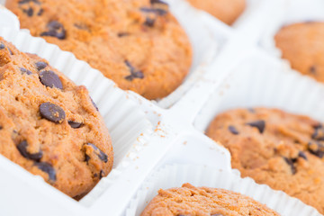 cookies on white background.
