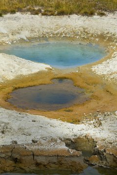 Twin geyser with orange microbial mats, Yellowstone National Par