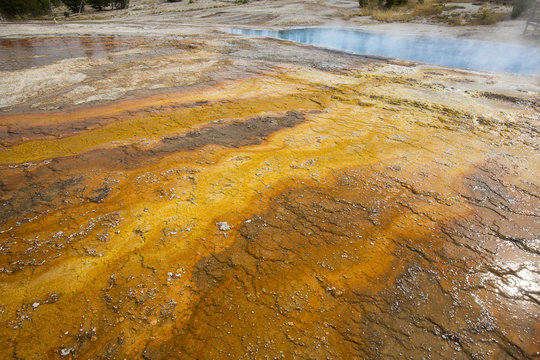 Orange runoff on lime crust, hot springs in Yellowstone, Wyoming