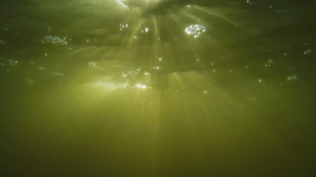 slow motion underwater shot below surface of Baltic sea with waves and sunbeams