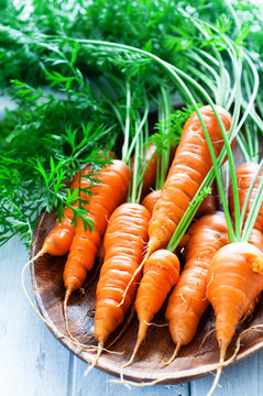 organic carrot