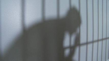 Silhouette and Shadows in Prison - Powered by Adobe