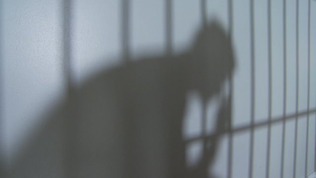 Silhouette and Shadows in Prison