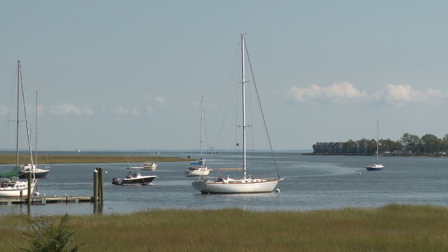 Sailboats at rest in water