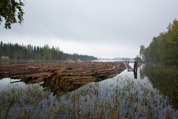 Log boom floating in lake © indukas