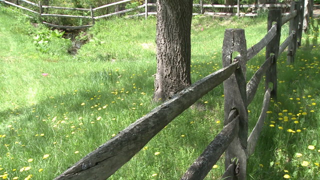 Wooden fence in a meadow