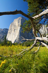 El Capitan