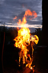 Fototapeta premium Fire Flame