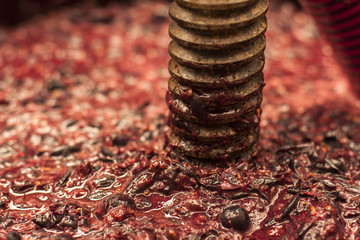 Antico torchio in legno con mosto rosso all'interno