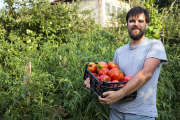 Proud young farmer holding  fresh delicious tomatoes in a plasti