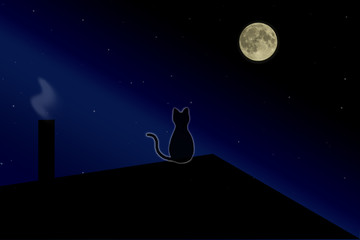 Black cat on the roof of the house on a full moon © volhavasilevich