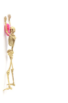 Stock Photo:. concept Human skeleton on white background