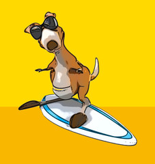 Fun kangaroo © Julien Tromeur